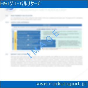 市場と産業調査レポートのイメージ
